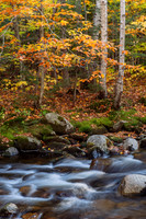 Autumn on Bear Creek